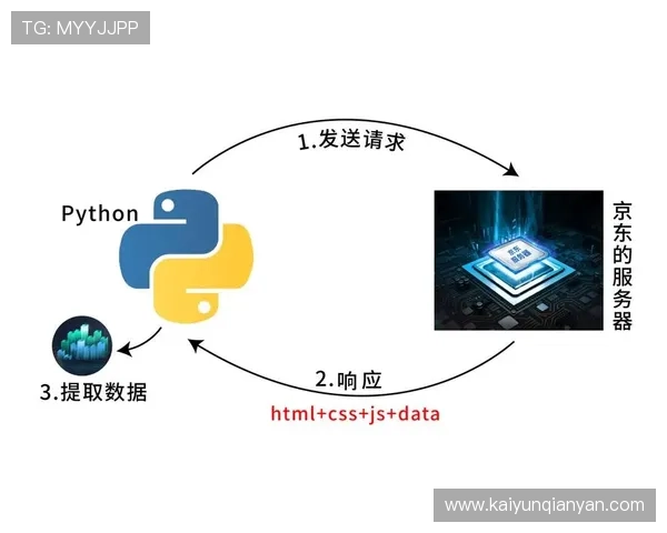 开云网页版功能介绍：新手入门指南及常见问题解答